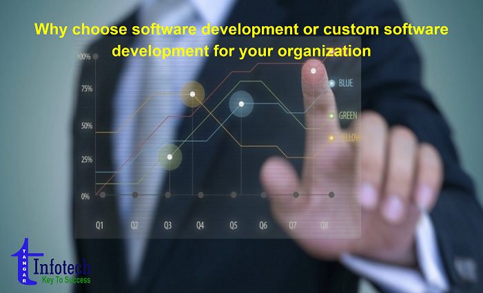 customized software, software development